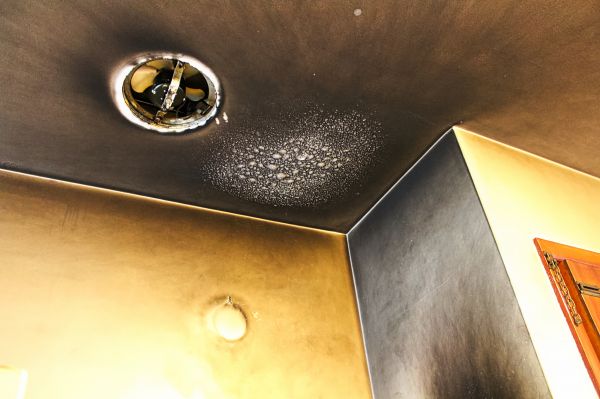 Smoke Damage Remediation in Land O Lakes